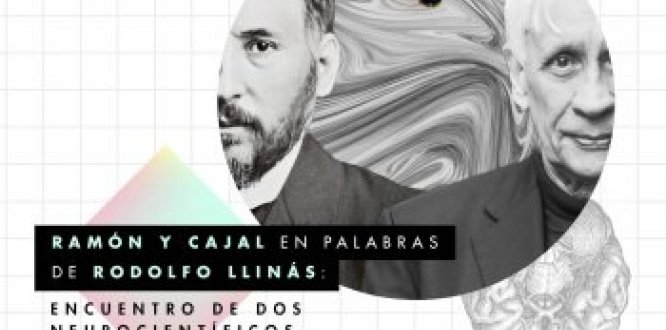Antropología del sexo y Rodolfo Llinás en Maloka